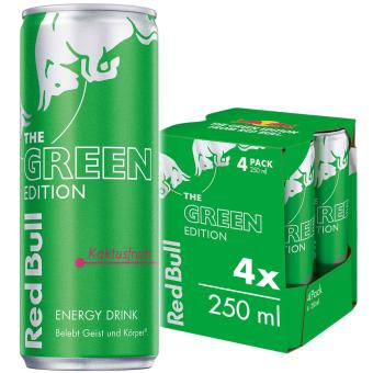 Red Bull 4 pack cactus fruit